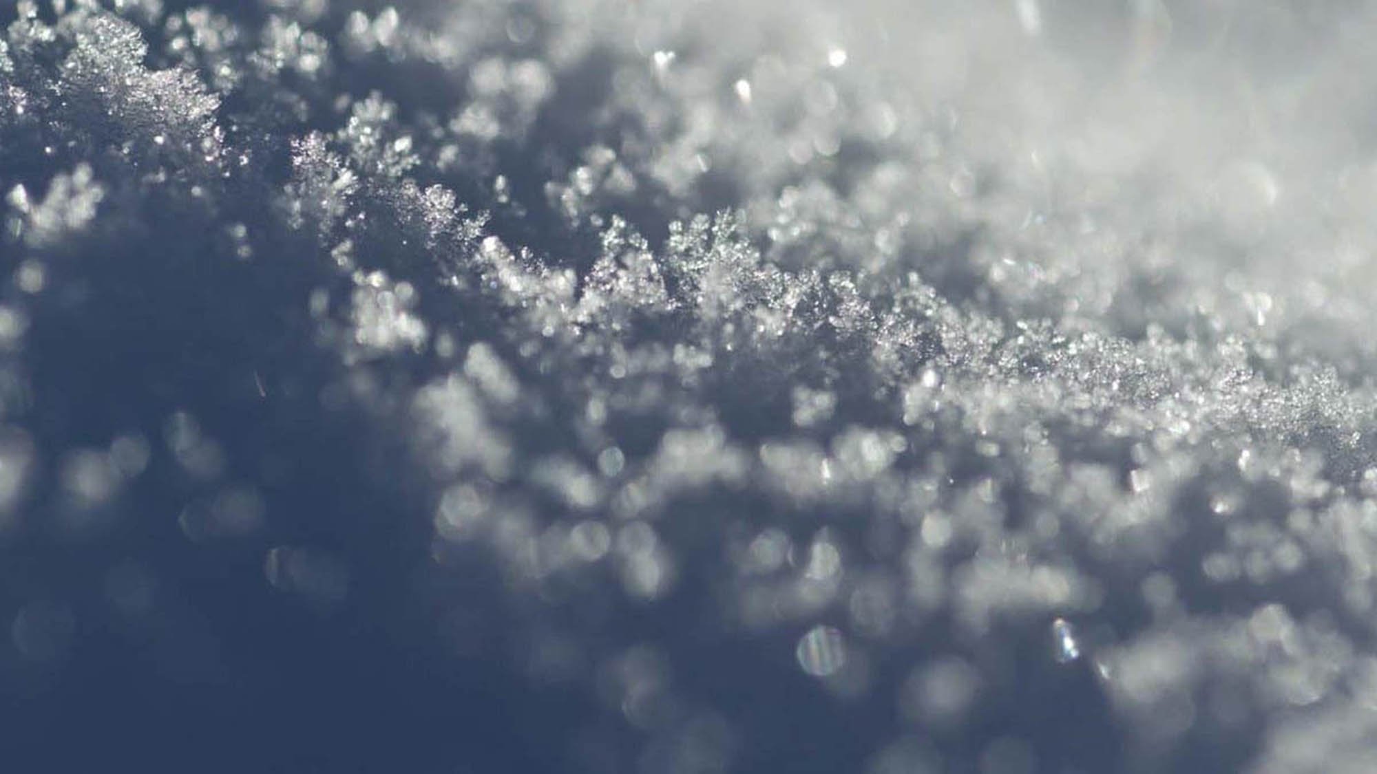 ❄ Powder Snow