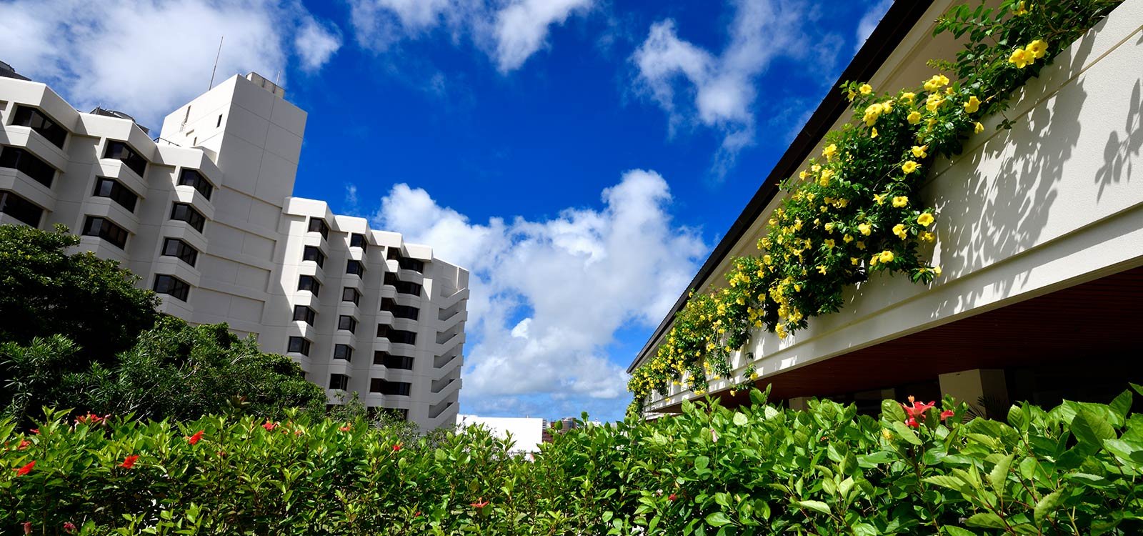The Naha Terrace