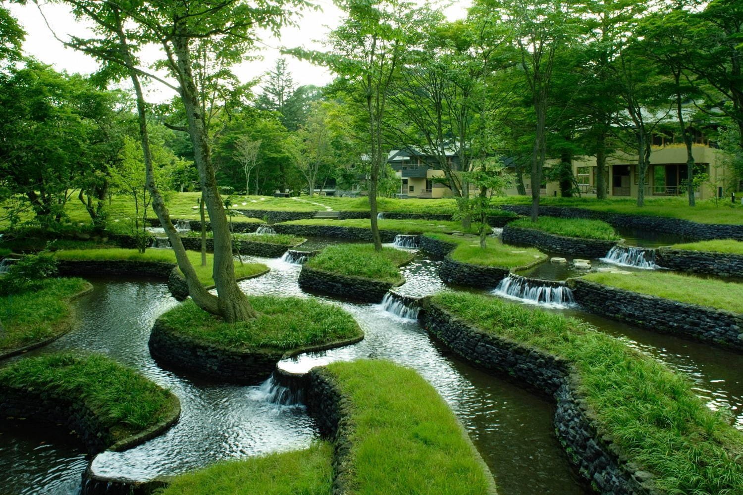 🌿 Water Garden