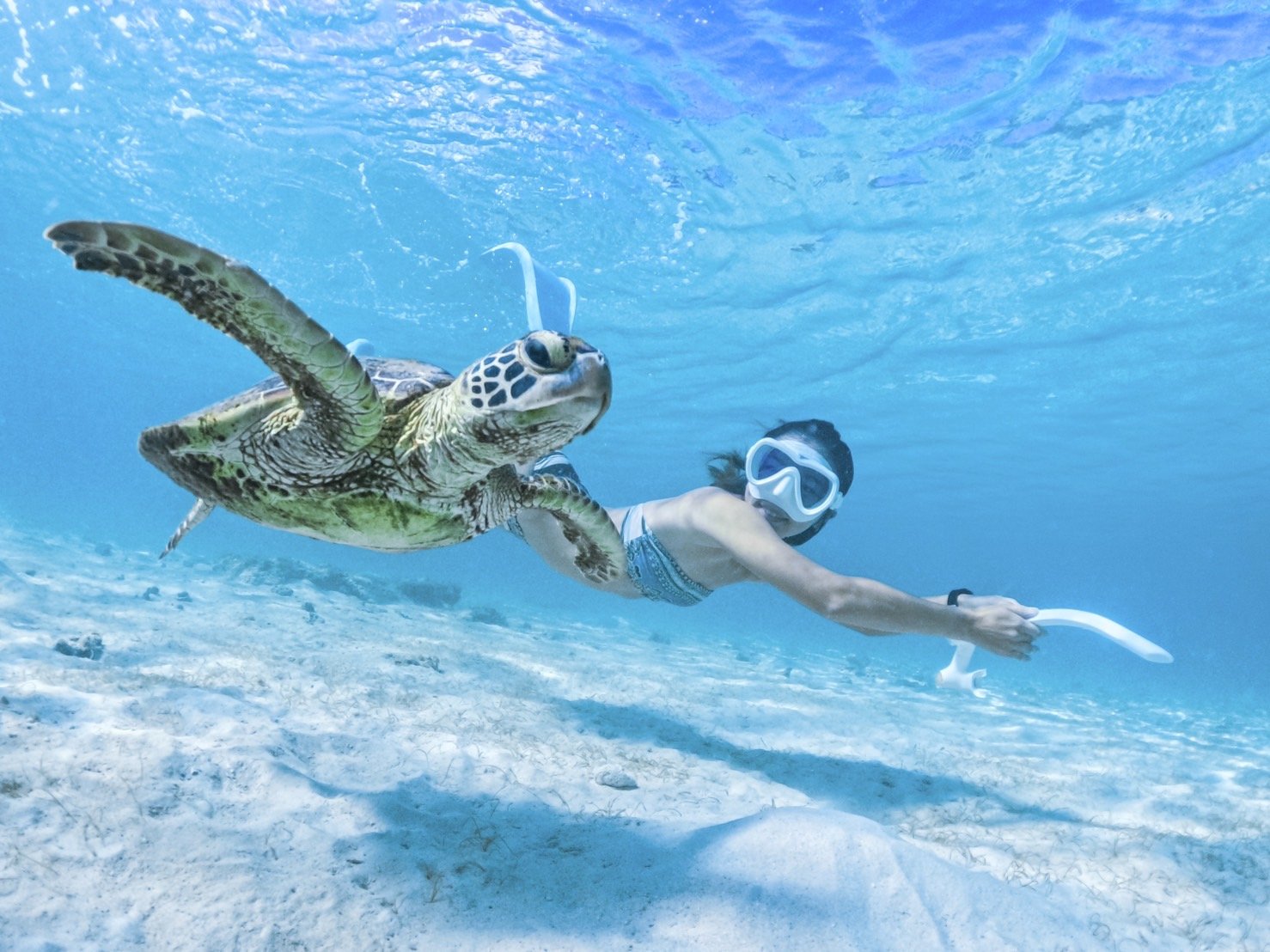 🐠 Marine Activities